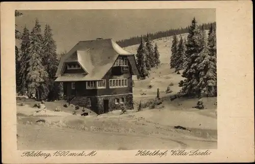 Ak Feldberg im Schwarzwald, Hotel und Kurhaus Hebelhof, Villa Liseli, Winter