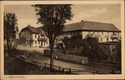 Ak Altglashütten Feldberg im Schwarzwald, Gasthof und Pension zum Hirschen-Löwen