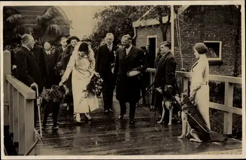 Ak Königin Juliana der Niederlande, Brücke, Hunde