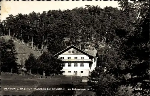 Ak Grünbach am Schneeberg Niederösterreich, Pension Gasthof Talwiese