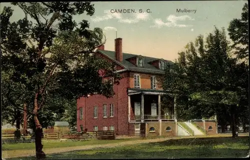 Ak Camden South Carolina USA, Mulberry