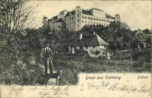 Ak Tettnang in Württemberg, Schloss, Mann mit Hund