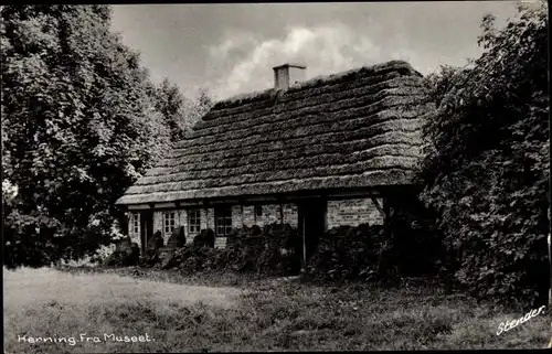 Ak Herning Dänemark, Fra Museet