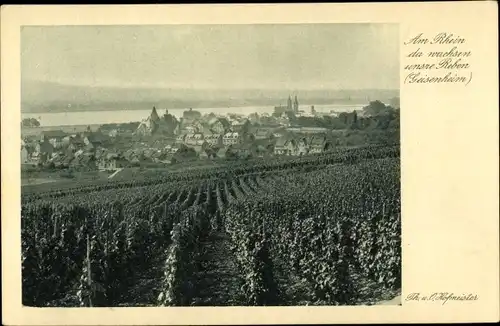 Ak Geisenheim am Rhein Hessen, Panorama