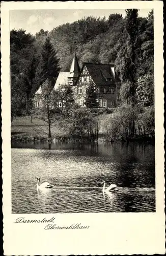 Ak Darmstadt in Hessen, Oberwaldhaus, Schwäne