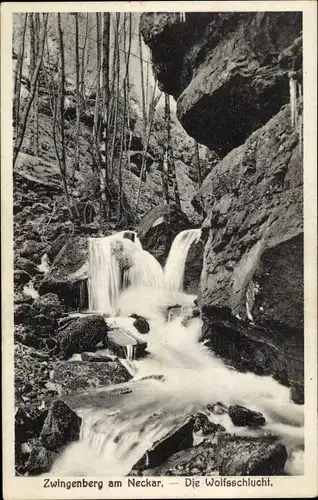 Ak Zwingenberg am Neckar Baden, Wolfsschlucht