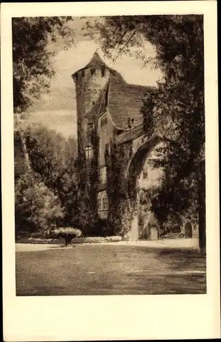 Künstler Ak Steinbach Michelstadt im Odenwald, Schloss Fürstenau, Wasserburg