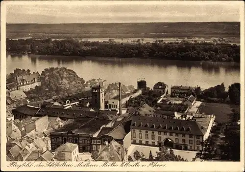 Ak Eltville am Rhein Hessen, Fliegeraufnahme, Sektkellerei Matheus Müller