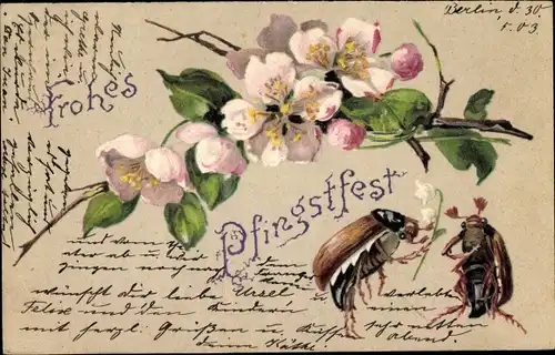 Präge Litho Glückwunsch Pfingsten, Maikäfer, Blumen