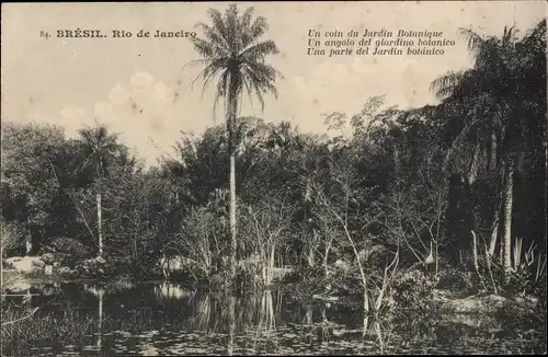 Ak Rio de Janeiro Brasilien, Botanischer Garten