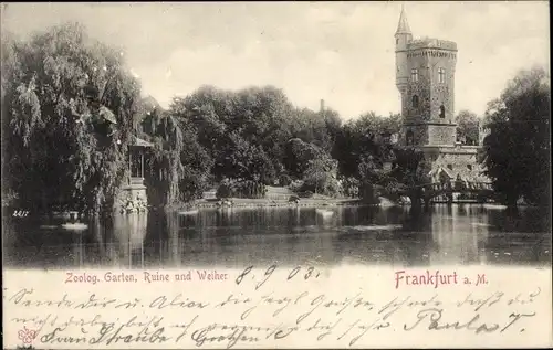 Ak Frankfurt am Main, Zoologischer Garten, Ruine, Weiher