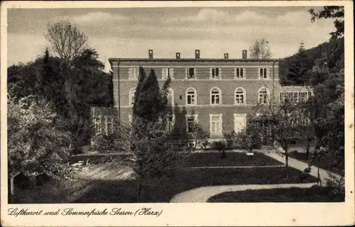 Ak Seesen am Harz, Gebäude, Garten