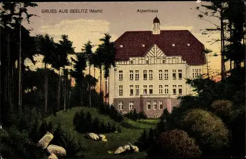 Ak Beelitz in der Mark, Heilstätte, Alpenhaus