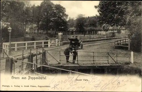 Ak Hamburg Wandsbek Poppenbüttel, Neuss Park, Anlagen, Brücke