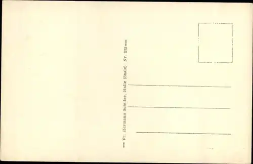 Ak Halle an der Saale, Marktplatz, Marktkirche, Roter Turm