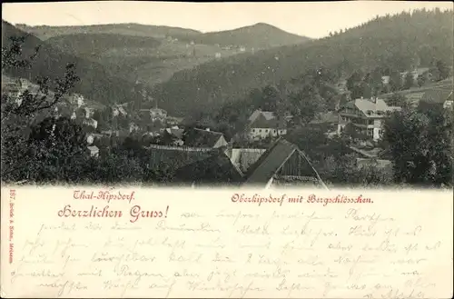 Ak Oberkipsdorf Altenberg im Erzgebirge, Bergschlösschen, Tal