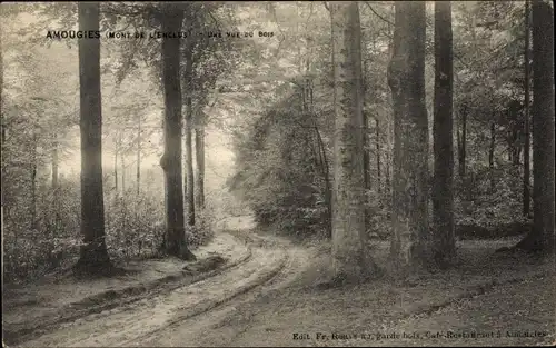 Ak Amougies Wallonien Hennegau Belgien, Mont de L'Enclus