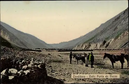 Ak Argentinien, Cordillera, Valle Punta de Vacas