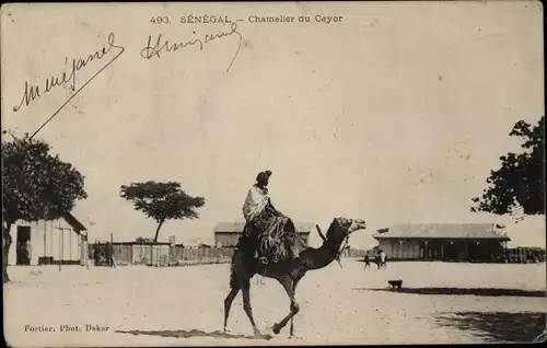 Ak Senegal, Kamel mit Reiter im Dorf