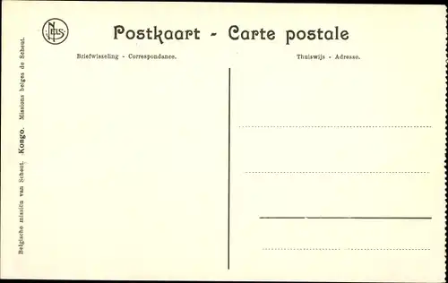 Ak Kangu Mayombe DR Kongo Zaire, Palmenkletterer