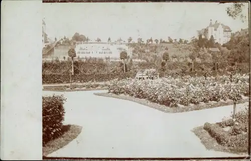 Ak Aue im Erzgebirge Sachsen, Schloss, Parkanlage