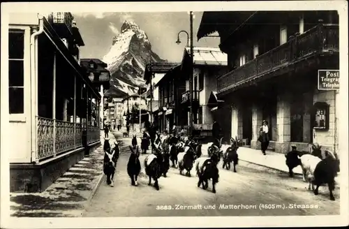 Ak Zermatt Kanton Wallis Schweiz, Matterhorn, Ziegenherde, Viehtrieb durch die Straße