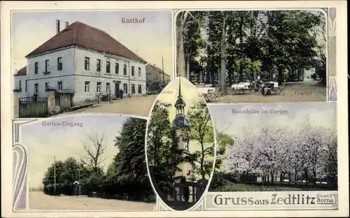 Ak Zedtlitz Wyhratal Borna in Sachsen, Gasthof, Baumblüte, Kirche