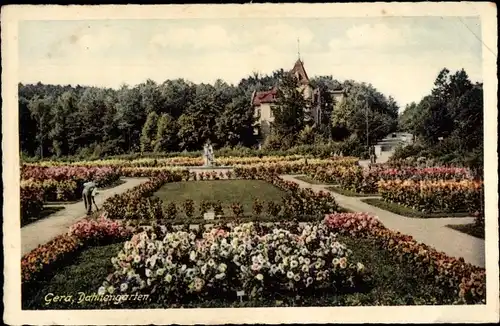 Ak Gera in Thüringen, Daliengarten