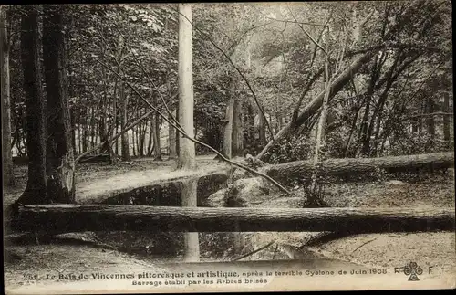 Ak Paris XII Bois de Vincennes, nach dem schrecklichen Zyklon vom Juni 1908