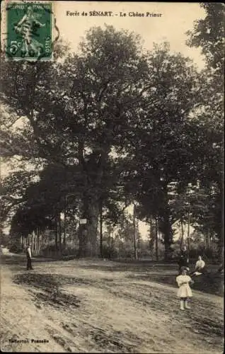 Ak Wald von Sénart Essonne, La Chene Prieur