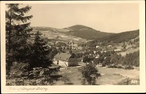 Foto Ak Geising Altenberg im Erzgebirge, Gesamtansicht