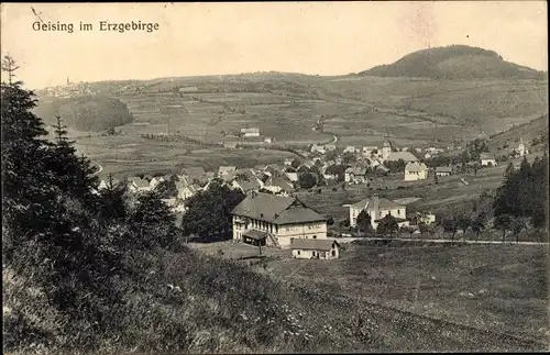 Ak Geising Altenberg im Erzgebirge, Panorama