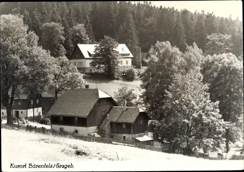 Ak Bärenfels Altenberg im Erzgebirge, Teilansicht