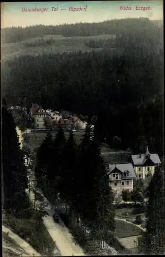 Ak Kipsdorf Altenberg im Erzgebirge, Blick ins Bärenburger Tal, Häuser