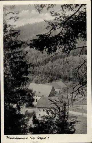 Ak Kratzhammer Altenberg im Erzgebirge, Teilansicht