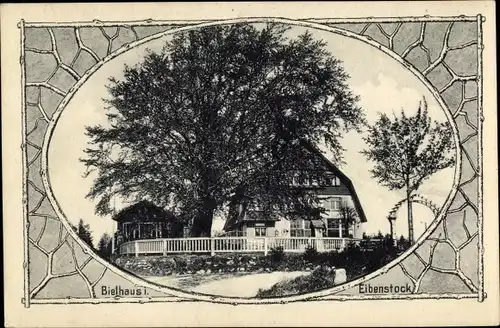 Passepartout Ak Eibenstock im Erzgebirge Sachsen, Blick zum Bielhaus, Baum