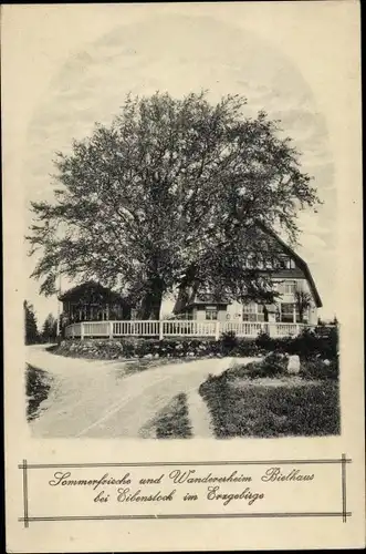 Ak Sosa Eibenstock im Erzgebirge, Wandererheim Bielhaus, Die uralte Bielbuche