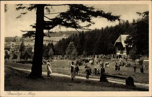 Ak Braunlage im Oberharz, Verlobungswiese, Musikpavillon