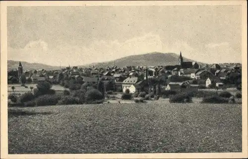 Ak Miesenheim Andernach am Rhein, Panorama