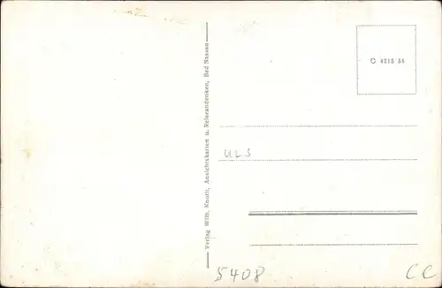 Ak Nassau an der Lahn, Panorama