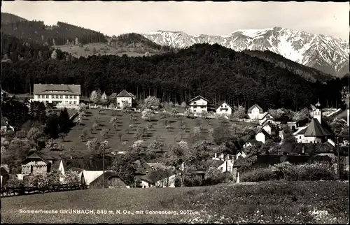 Ak Grünbach am Schneeberg Niederösterreich, Gesamtansicht