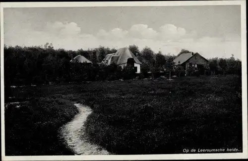 Ak Leersum Utrechtse Heuvelrug Utrecht, Auf der Leersumsche Heide