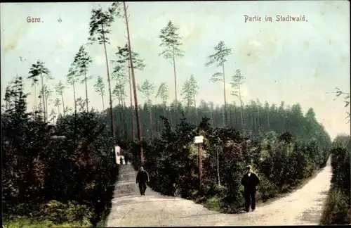 Ak Gera in Thüringen, Wege im Stadtwald