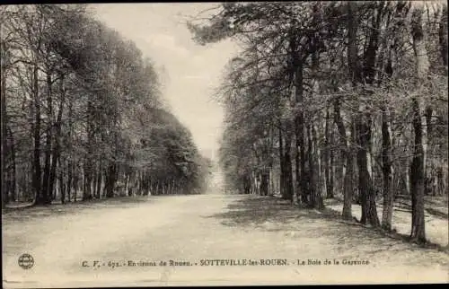 Ak Sotteville les Rouen Seine Maritime, Le Bois de la Garenne