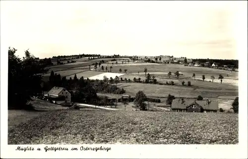 Ak Müglitz Lauenstein im Müglitztal Altenberg, Panorama, Gottgetreu