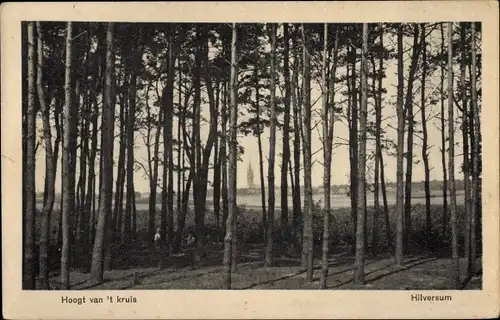 Ak Hilversum Nordholland Niederlande, Hoogt van 't Kruis, Blick durch den Wald