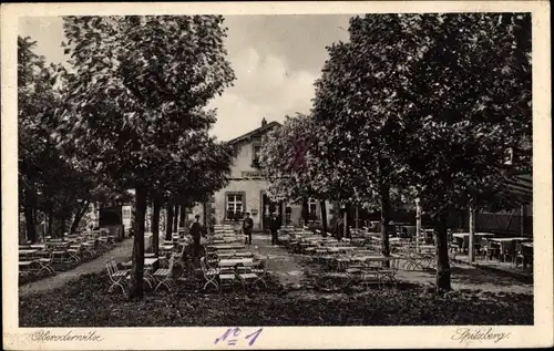 Ak Oberoderwitz Oderwitz in der Oberlausitz, Spitzberg