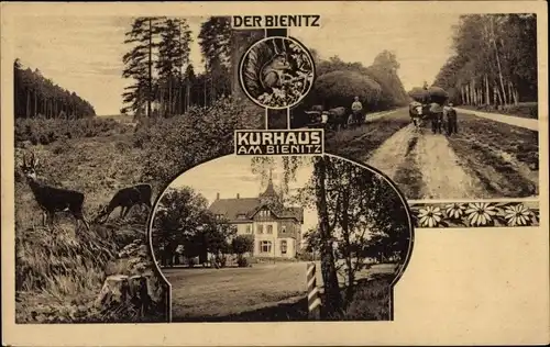 Ak Burghausen Rückmarsdorf Leipzig in Sachsen, Kurhaus am Bienitz