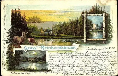 Litho Reinhardsbrunn Friedrichroda im Thüringer Wald, Wald, Hirsche Dämmerung