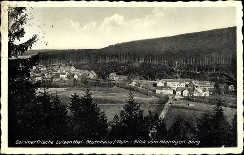 Ak Stutzhaus Luisenthal im Thüringer Wald, Teilansicht, Blick vom Steinigen Berg